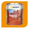 Pintura Pinternit Naranja Para Exterior Galon