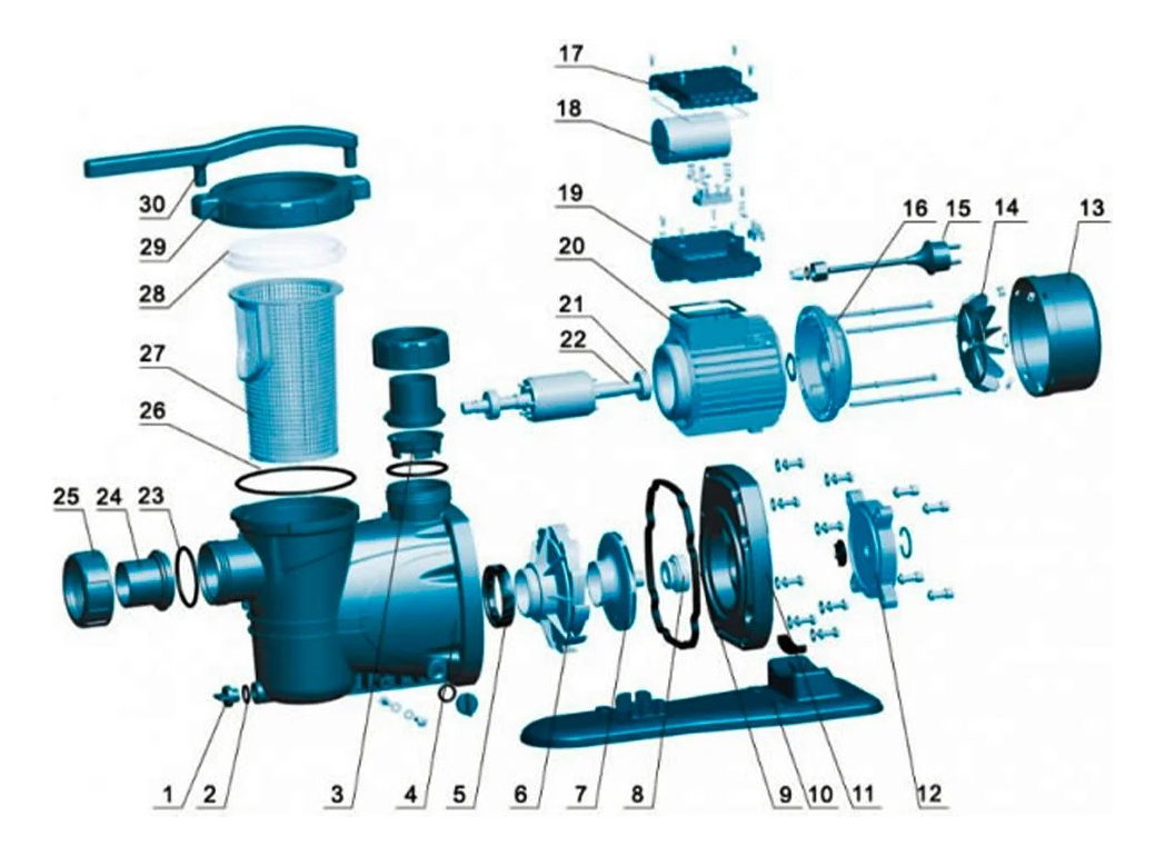 Bomba Para Piscina Con Trampa Para Pelo 3 Hp 2 1/2 Premium - Imagen 3