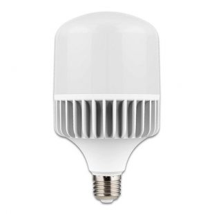 Foco ovo plus led alta potencia 30 watts 6500k ledex
