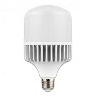 Foco ovo plus led alta potencia 50 watts 6500k ledex